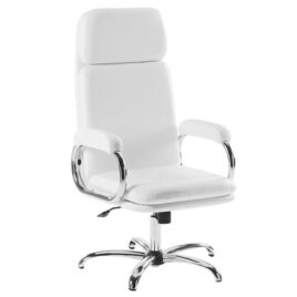 Cadeira de Estética Daisy A Gás