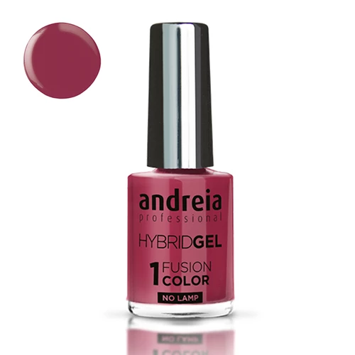 Andreia Verniz Hybrid Gel H21