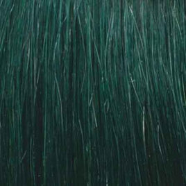 She Extensões Queratina Lisas Fantasia Verde Escuro - 10 unidades