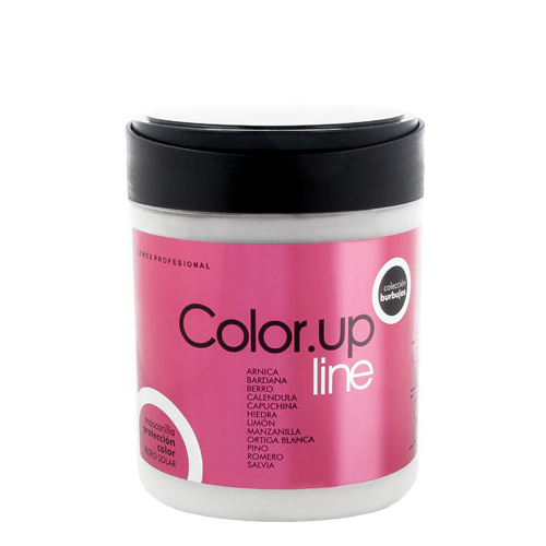 Máscara Lewex Color.Up Protecção Cor 500ml