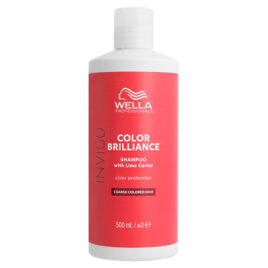 Invigo Shampo Color Brilliance Grossos 500ml